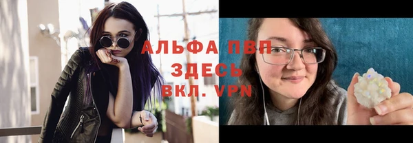 PSILOCYBIN Балахна