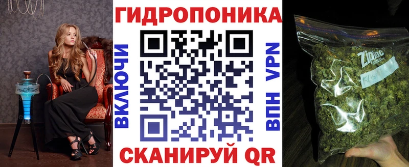 Конопля OG Kush  MEGA ТОР  Заозёрск  наркотики 
